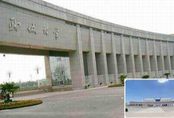 聊城大学大学吃瓜大爆料,揭秘校园吃瓜大事件背后的真相